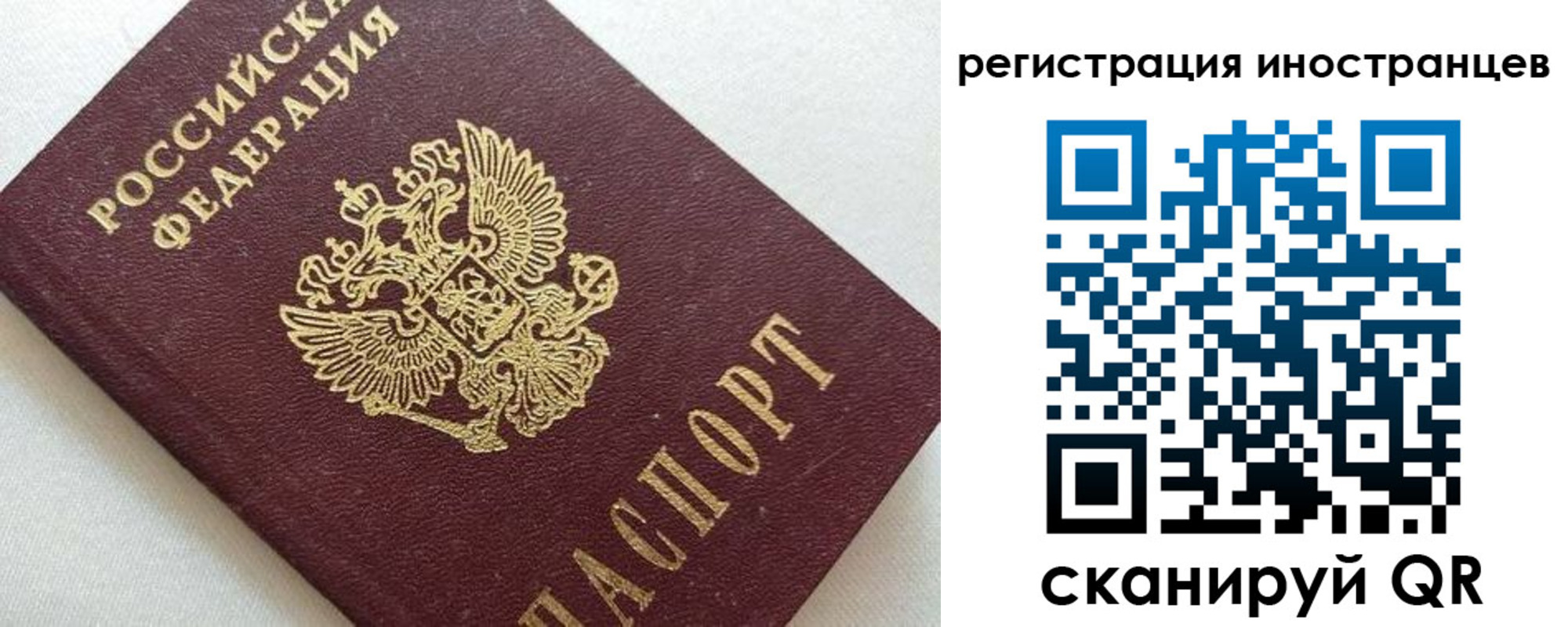 прописка в Венёве